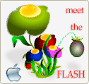 Meet the Flash boxshot